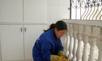 專業(yè)保潔服務(wù)全解析 從家庭到工廠，從基礎(chǔ)到精細(xì)